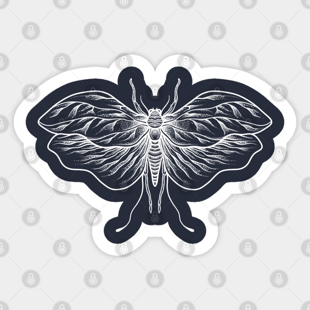 Insect opat Sticker by Tuye Project